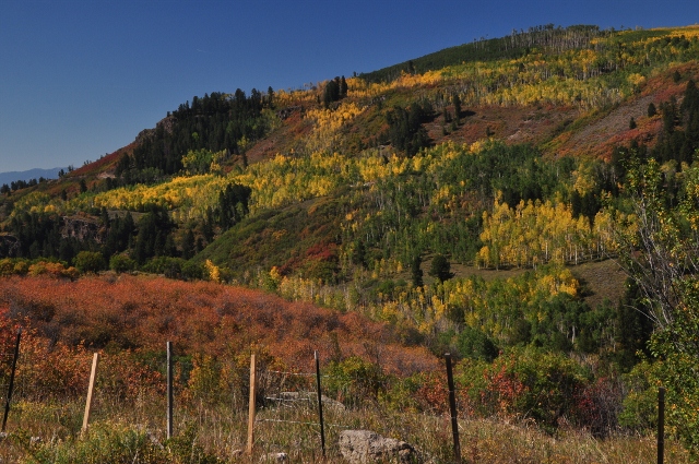 Along Highway 92 north toward Crawford